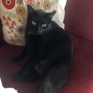 Meet your Posher, Arica